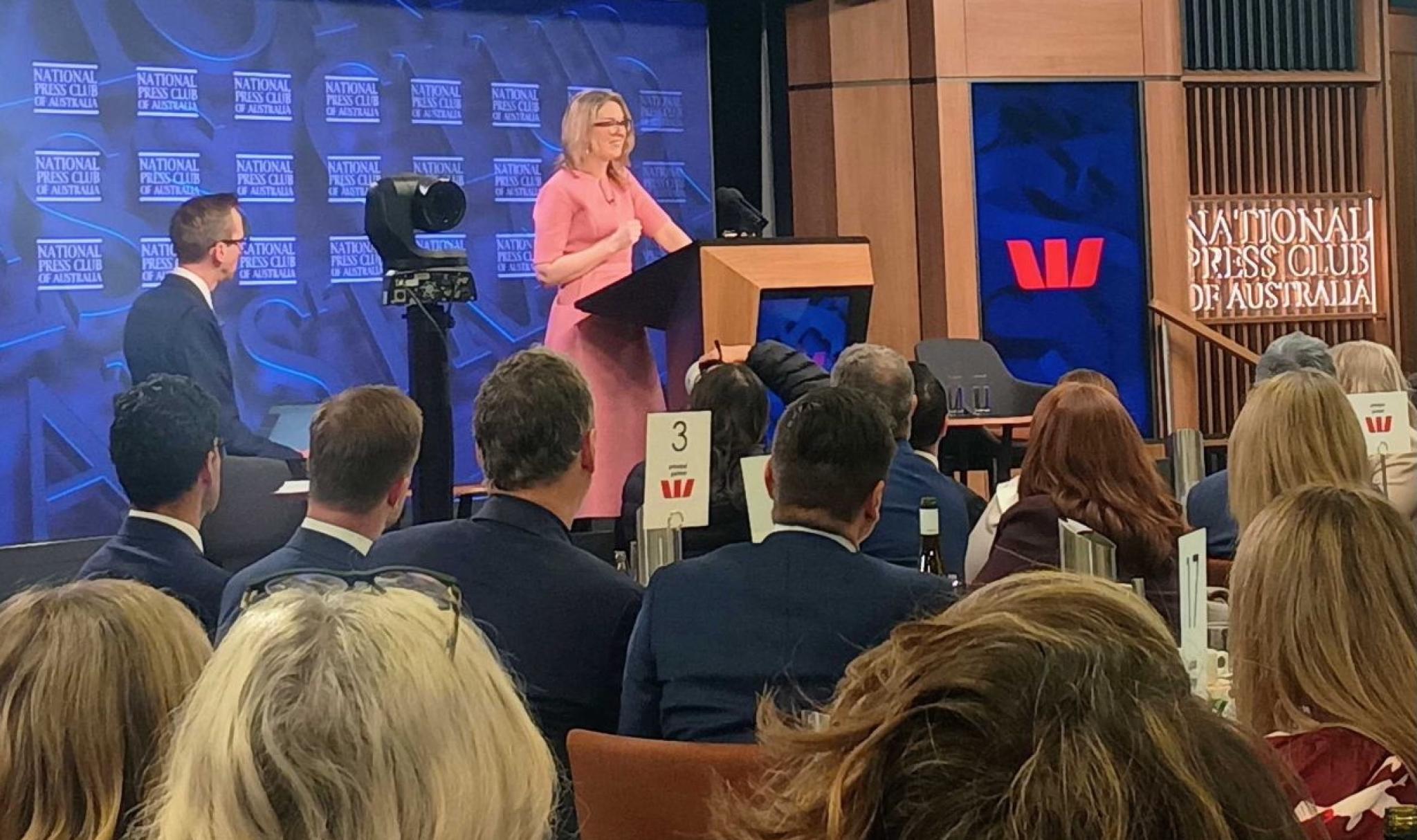 A person stands at a lectern, delivering a speech to an audience